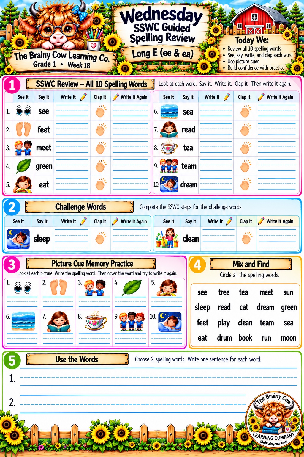 Wednesday Guided Review